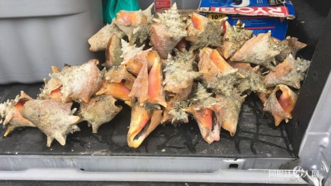 1532087883105165.jpg ad19d500c25e68863d19dda07ec3f2e5.jpg