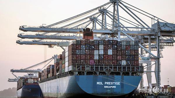 1532595624539328.jpg 41.jpg