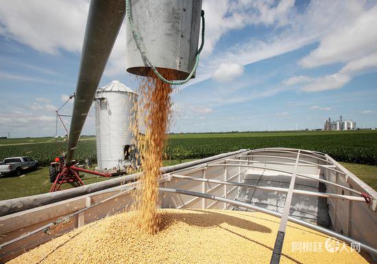 1534153929930225.jpg 508e816b20b550cb60e85845391e445c.jpg