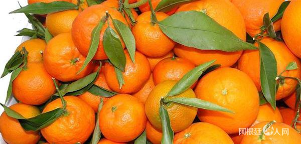 1534472772259785.jpg 11.jpg