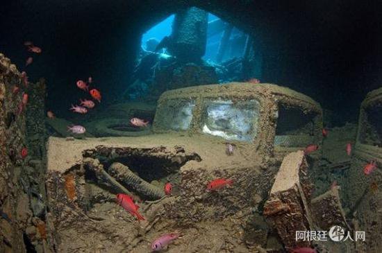 1537526067105687.jpg e0e9c773f458e10ddd220c3488da8942.jpg