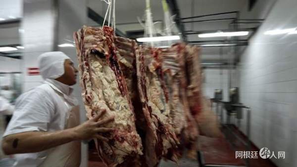 1538109102722879.jpg 31.jpg