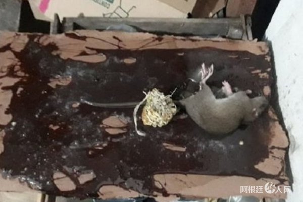 1538443375414246.jpg 11.jpg