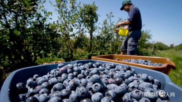 1541043358966556.jpg 11.jpg