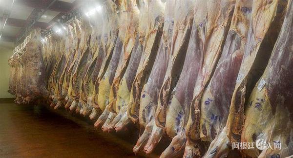 1543299994961480.jpg 41.jpg