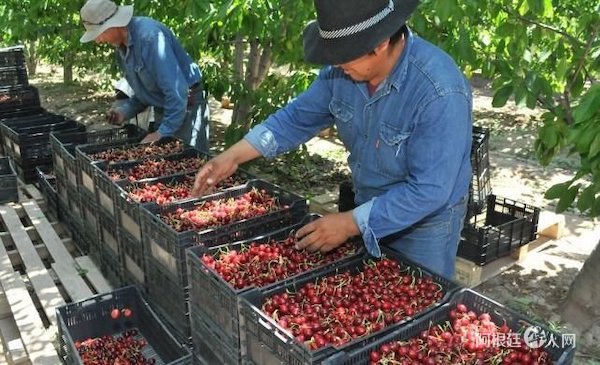 1543997433983795.jpg 11.jpg