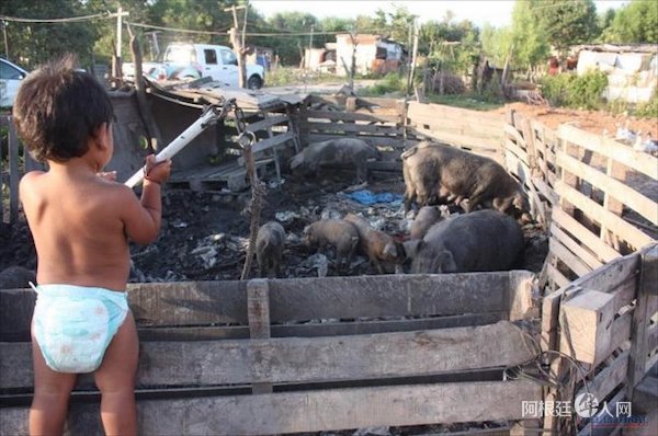 1544001540821455.jpg 31.jpg