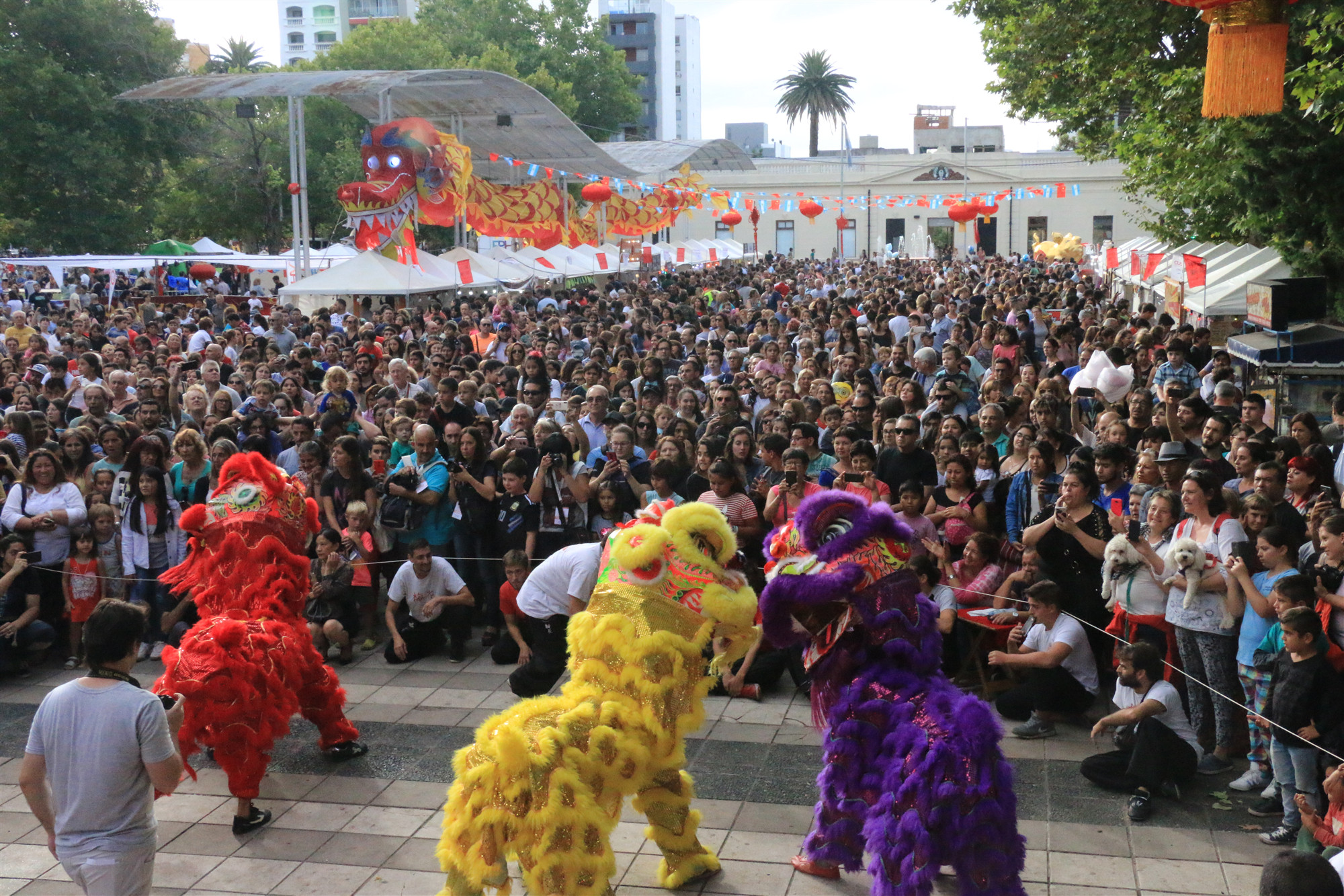 2596719538.jpg 3.jpg