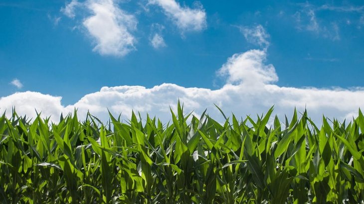 1068237259.jpg 0036168808.jpg