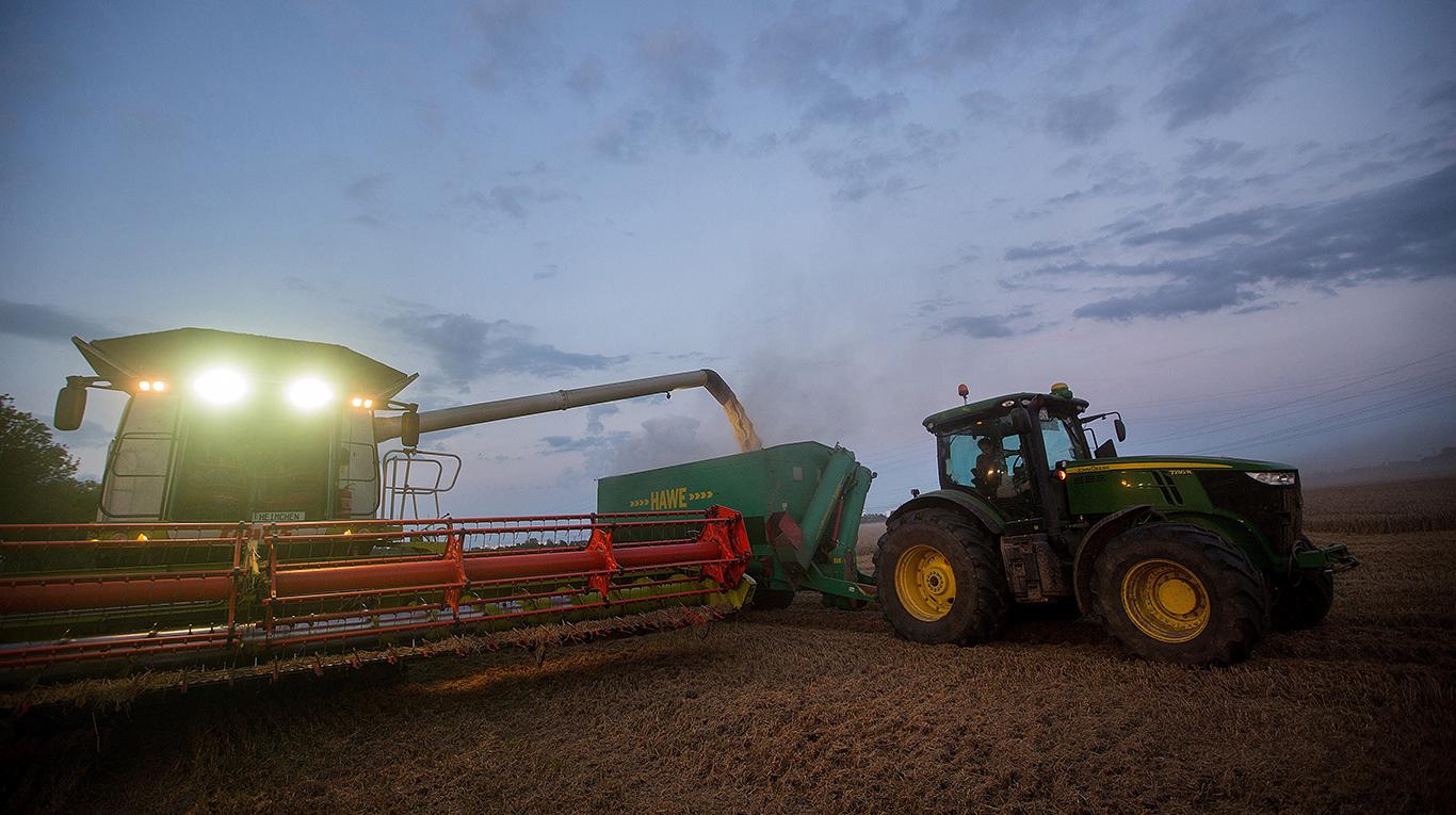 2298561165.jpg campo12.jpg