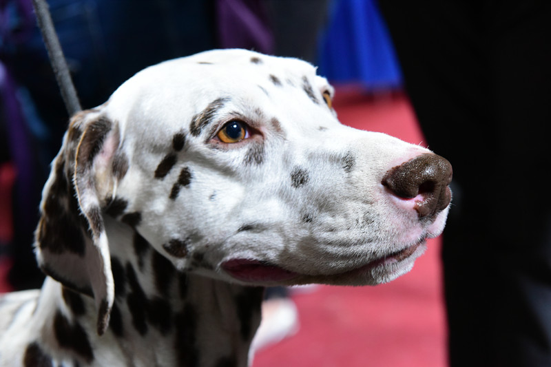 3011206734.jpg 11_副本.jpg