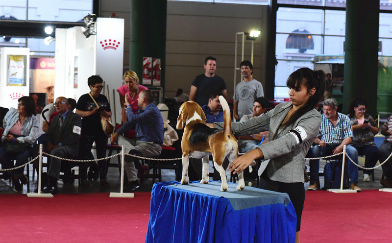 3016619229.jpg 7_副本.jpg