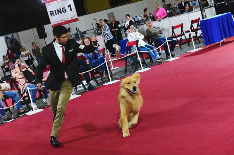 3021155123.jpg 2_副本.jpg