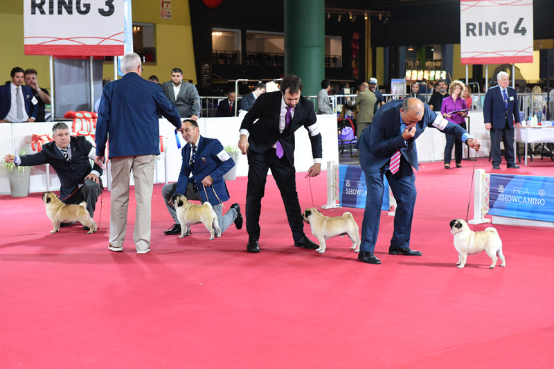 3021917726.jpg 1_副本.jpg