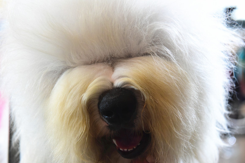 3023557653.jpg 12_副本.jpg