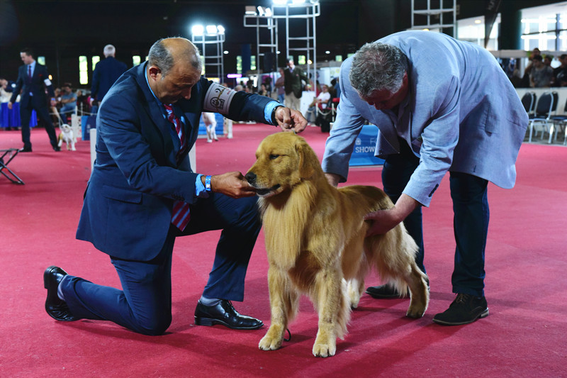 3026466632.jpg 3_副本.jpg