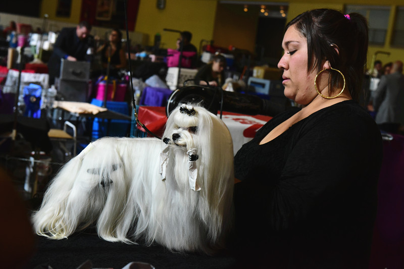 3027378279.jpg 6_副本.jpg