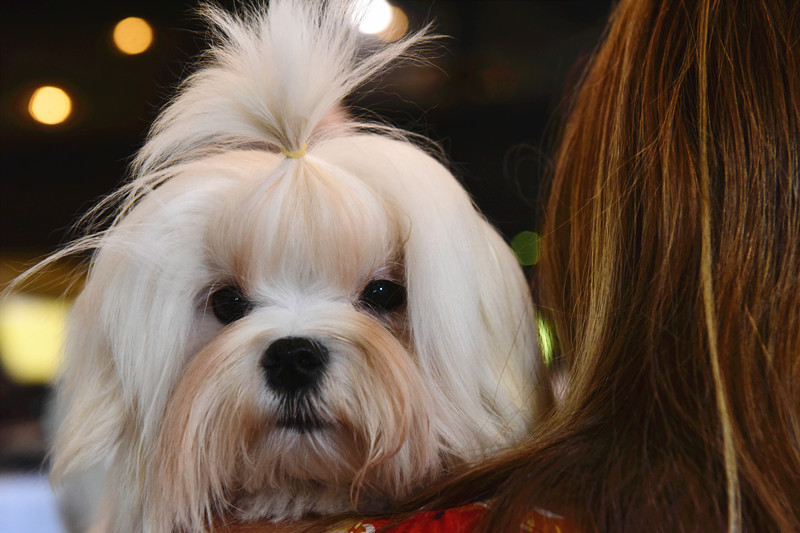 3033463924.jpg 8_副本.jpg