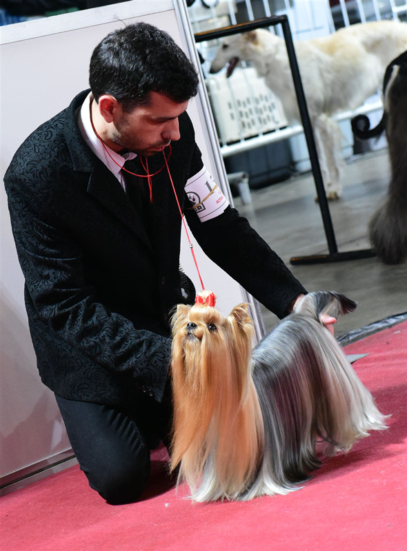 3058245047.jpg 4_副本.jpg