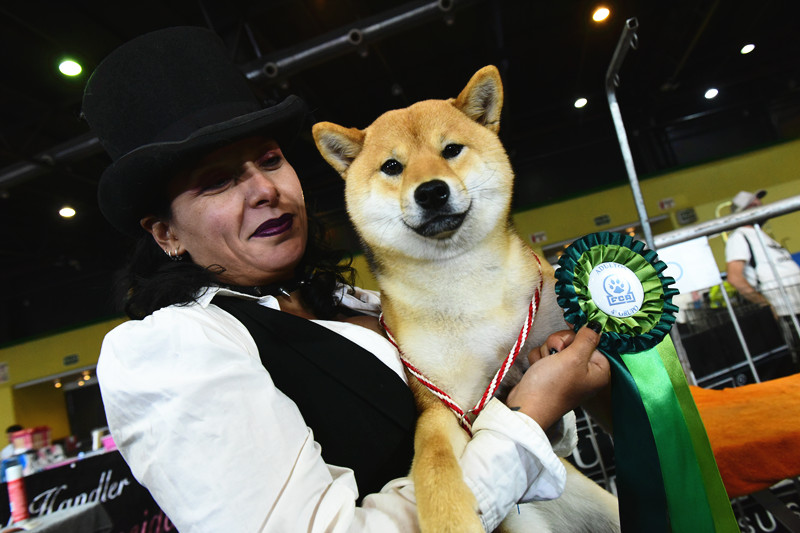 3065094851.jpg 13_副本.jpg