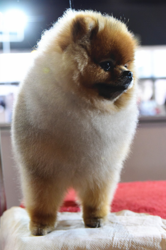 3084008106.jpg 9_副本.jpg