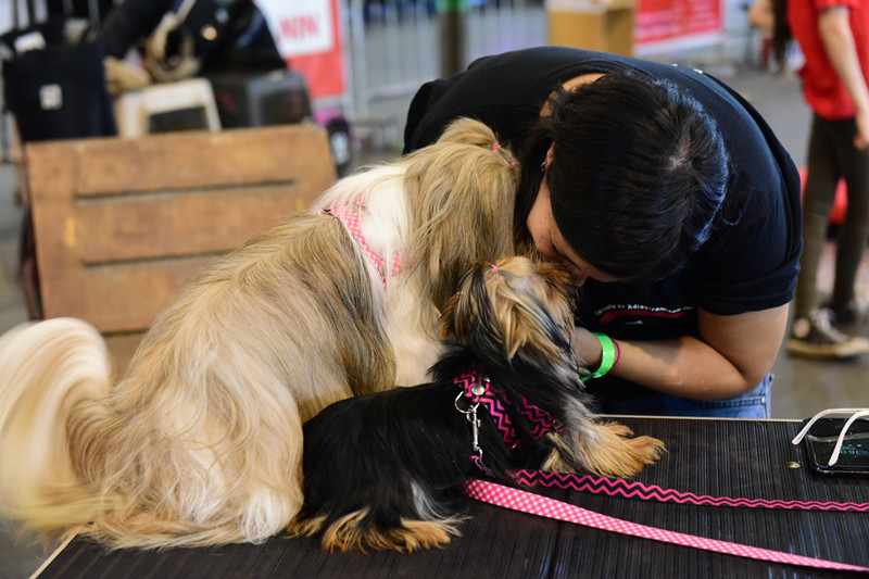 3086211364.jpg 5_副本.jpg