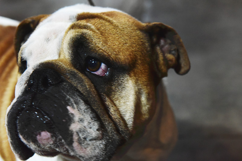 3097471276.jpg 10_副本.jpg