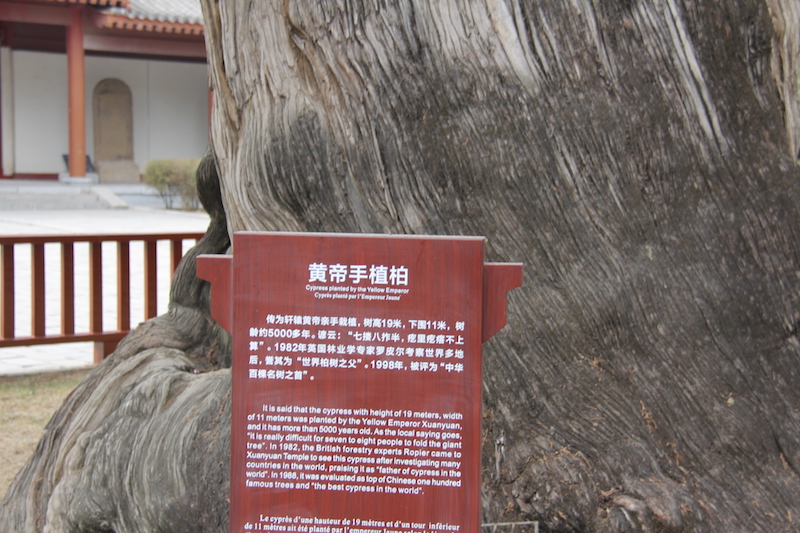 0478592208.jpg 77.jpg