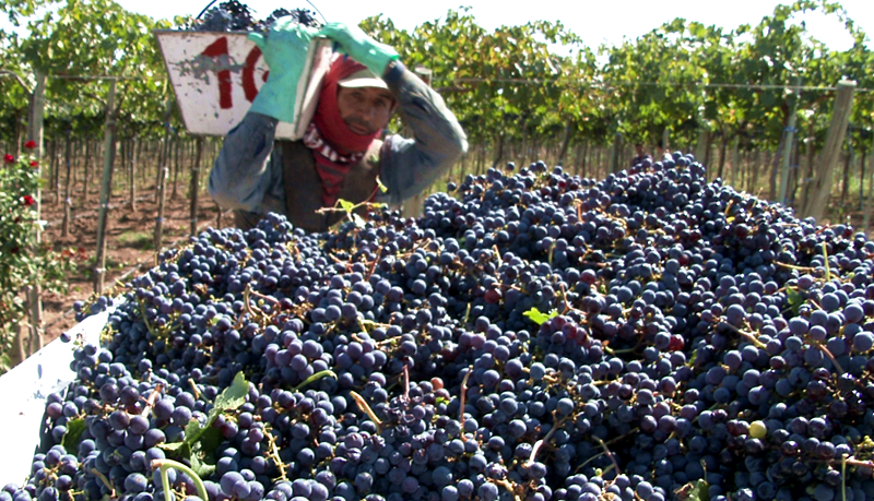 1292586797.png 微信截图_20190412095104.png