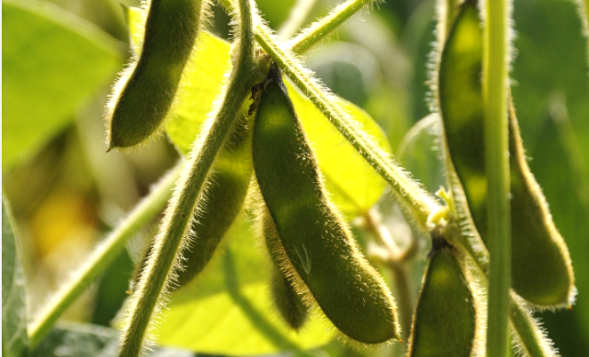 2049421717.png 微信截图_20190420120017.png