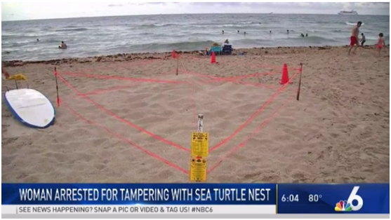 1748487484.png 2019%2F06%2F16%2F0936e2330af648e7b046fbfbde1db8ba.png