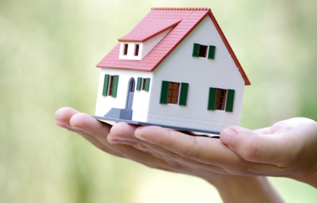 2521633787.png 094304836481.jpg.png