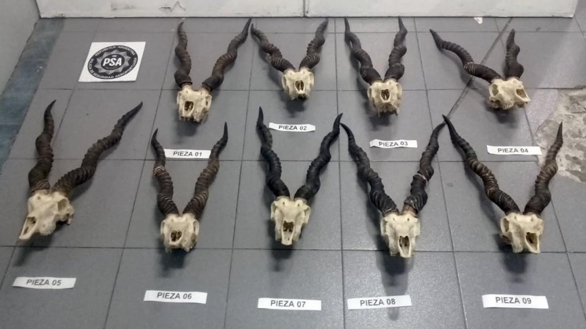 3156651302.jpg 21.jpg