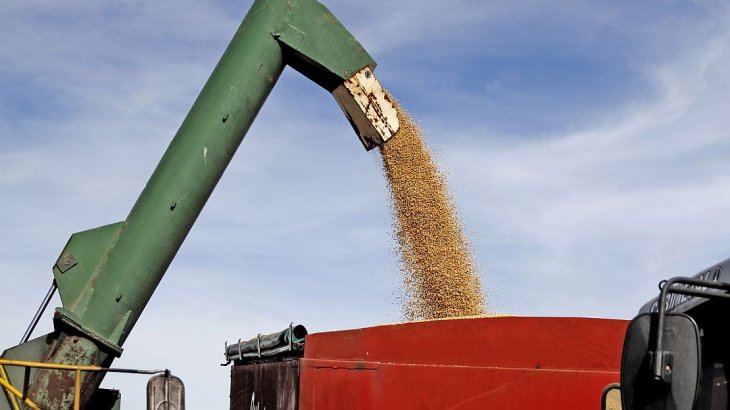 0986472873.jpg 31.jpg