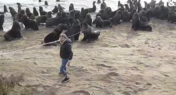 2744422216.jpeg 1f3f78b711ef4164b1d333458c7251cb.jpeg