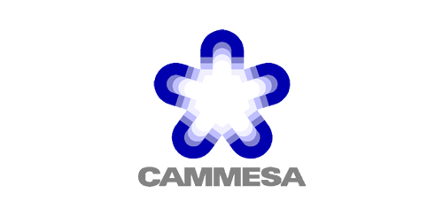 3134411611.png cammesa.png