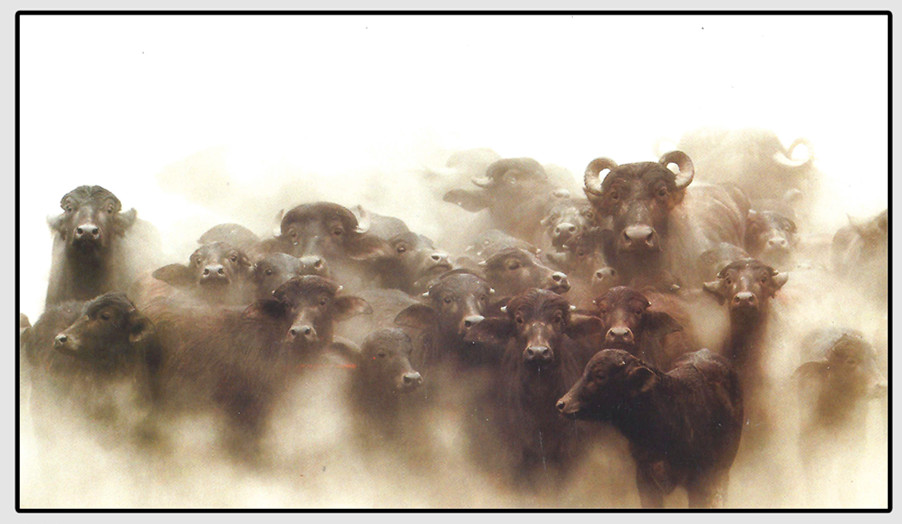 0721107975.jpg 2511100014_副本_副本9002.jpg