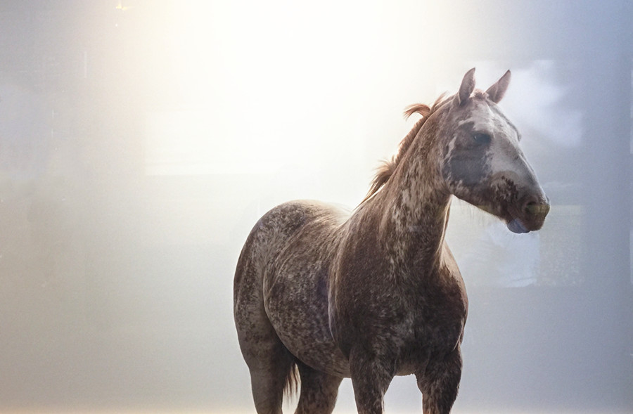 0756532545.jpg 3.jpg