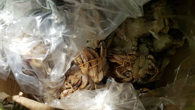 1268788659.jpg 11.jpg