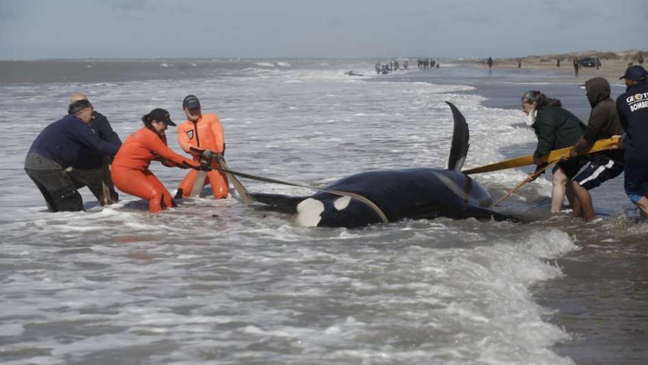 1838279705.jpg image5d7f9e3bb0d3a.jpg