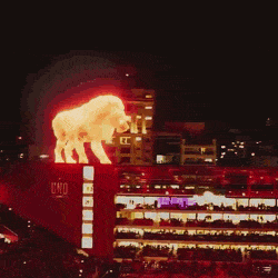 1468928070.gif EarnestPleasingEgret-size_restricted.gif