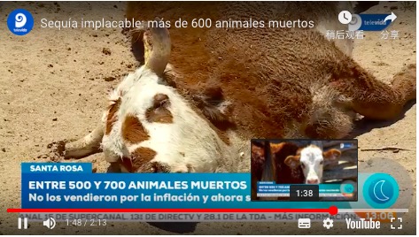 1912133633.png 屏幕快照 2019-11-19 上午12.13.59.png