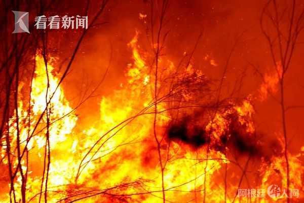 2020%2F0104%2F0fd66a76j00q3kopc000sc000go00b4c 2020%2F0104%2F0fd66a76j00q3kopc000sc000go00b4c