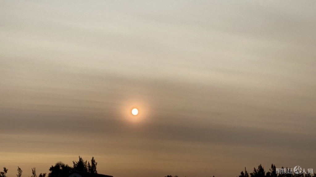 0037294062 0037294062