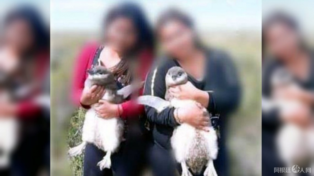 0037321990 0037321990