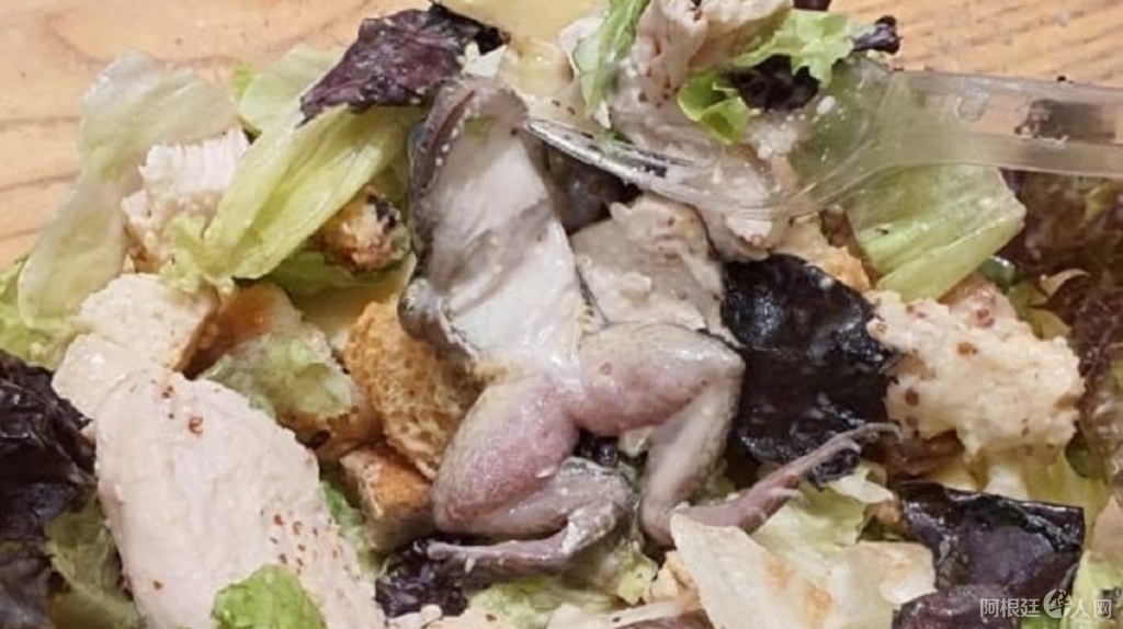 0037350704 0037350704