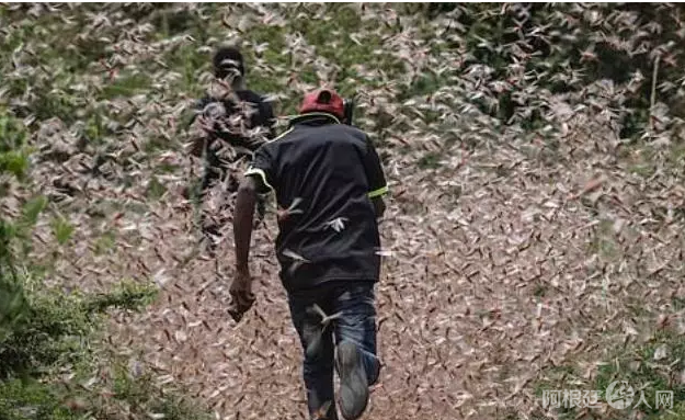 微信图片_20200212220131 微信图片_20200212220131