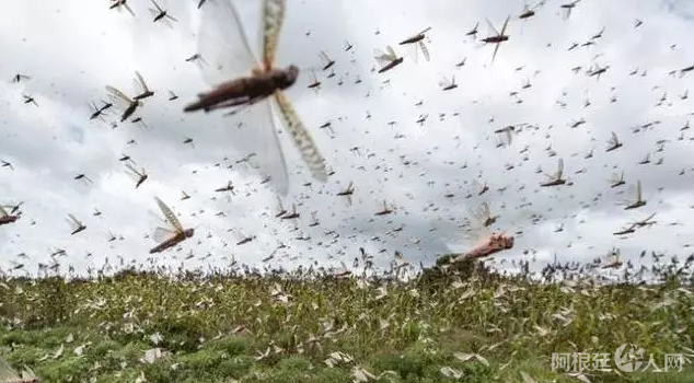 微信图片_20200212220220 微信图片_20200212220220