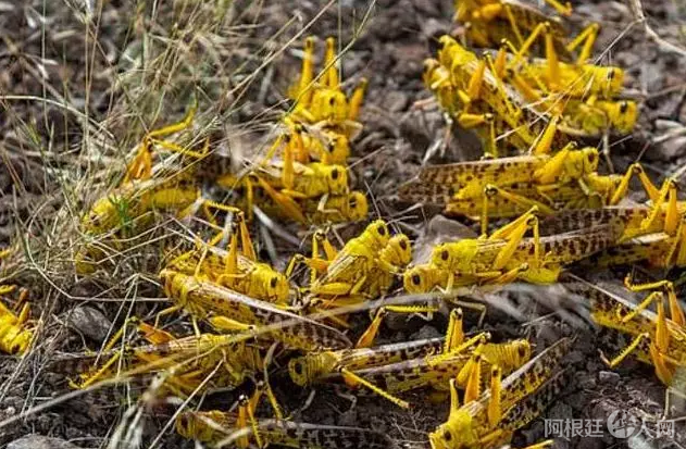 微信图片_20200212220244 微信图片_20200212220244