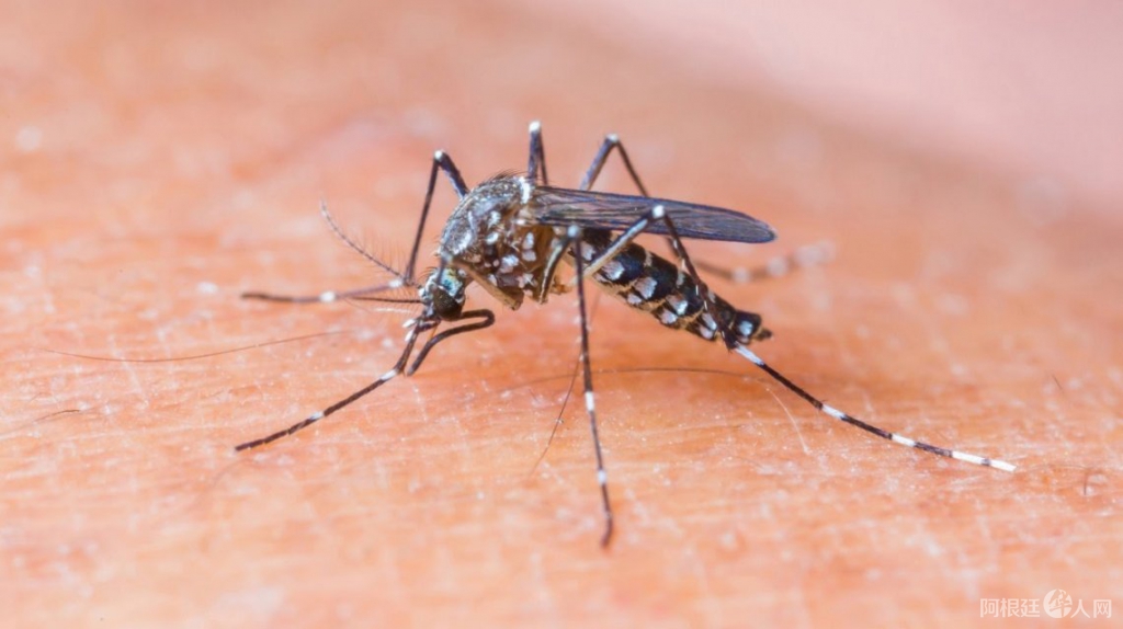 0037430934 0037430934